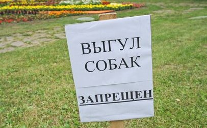 На улице Вилиса Лациса собакам указали на место